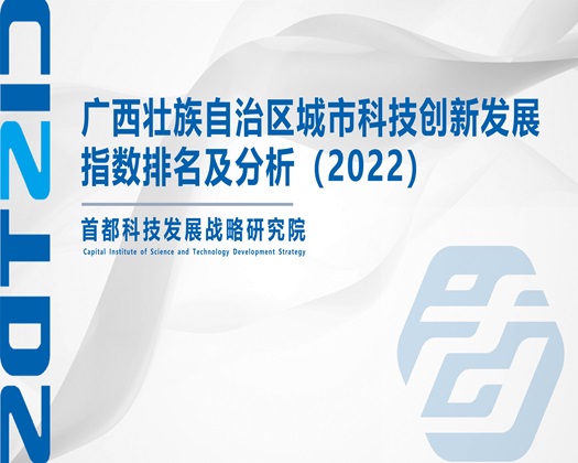 操骚屄视频免费观看【成果发布】广西壮族自治区城市科技创新发展指数排名及分析（2022）